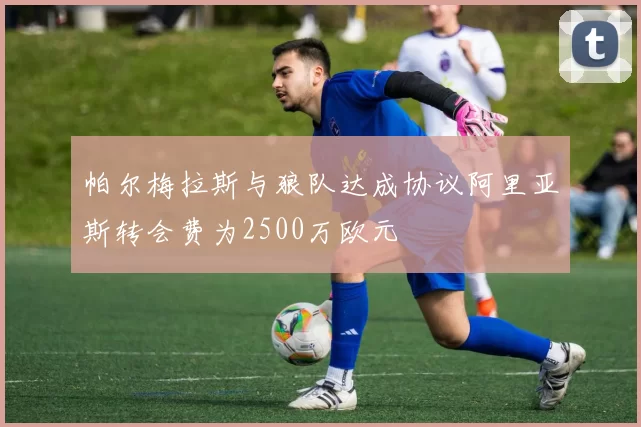 帕尔梅拉斯与狼队达成协议阿里亚斯转会费为2500万欧元