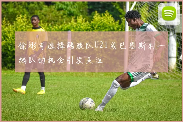 徐彬可选择踢狼队U21或巴恩斯利一线队的机会引发关注